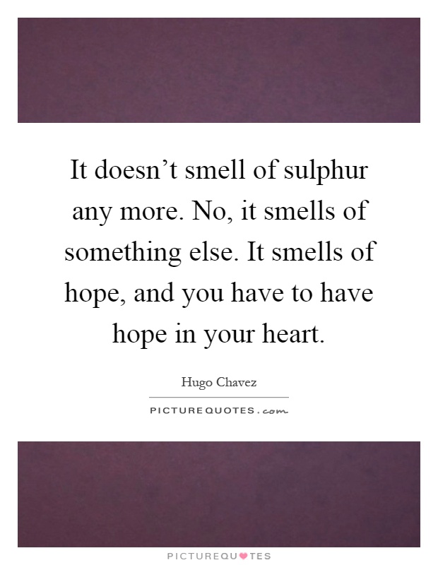 It doesn't smell of sulphur any more. No, it smells of something else. It smells of hope, and you have to have hope in your heart Picture Quote #1