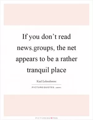 If you don’t read news.groups, the net appears to be a rather tranquil place Picture Quote #1