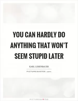 You can hardly do anything that won’t seem stupid later Picture Quote #1