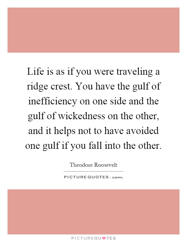 Life is as if you were traveling a ridge crest. You have the gulf of inefficiency on one side and the gulf of wickedness on the other, and it helps not to have avoided one gulf if you fall into the other Picture Quote #1