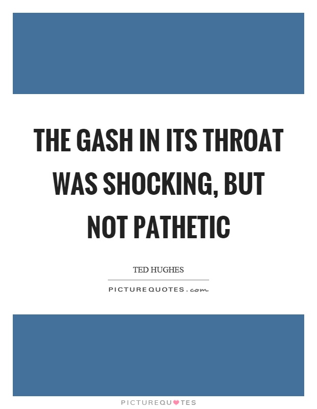The gash in its throat was shocking, but not pathetic Picture Quote #1