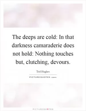 The deeps are cold: In that darkness camaraderie does not hold: Nothing touches but, clutching, devours Picture Quote #1