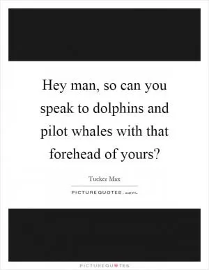 Hey man, so can you speak to dolphins and pilot whales with that forehead of yours? Picture Quote #1