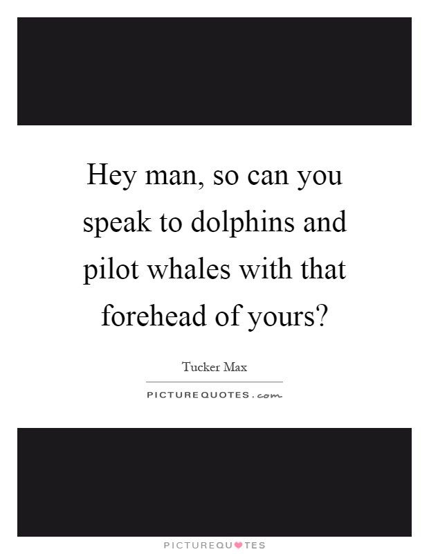 Hey man, so can you speak to dolphins and pilot whales with that forehead of yours? Picture Quote #1