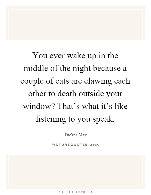 You ever wake up in the middle of the night because a couple of cats are clawing each other to death outside your window? That's what it's like listening to you speak Picture Quote #1