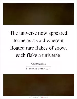 The universe now appeared to me as a void wherein floated rare flakes of snow, each flake a universe Picture Quote #1