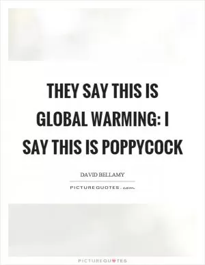 They say this is global warming: I say this is poppycock Picture Quote #1