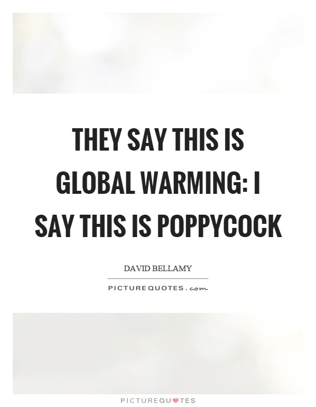 They say this is global warming: I say this is poppycock Picture Quote #1