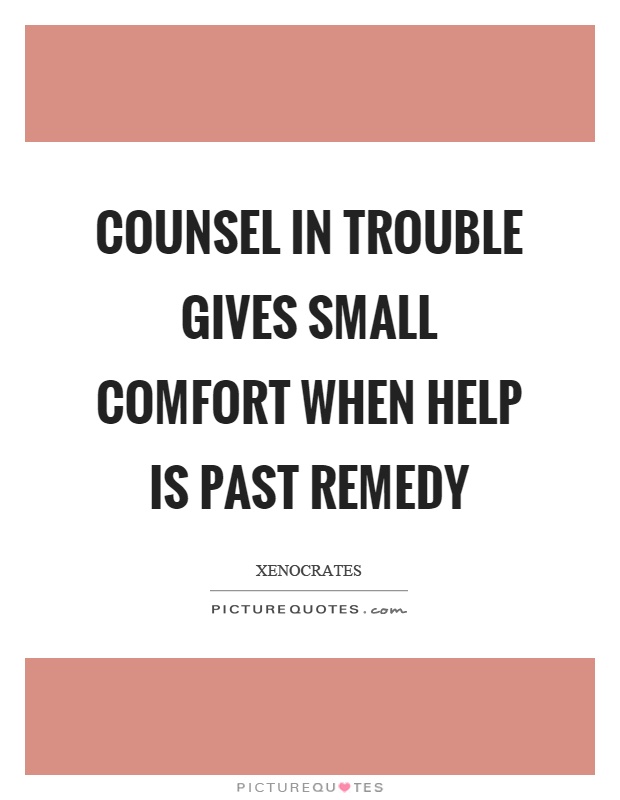 Counsel in trouble gives small comfort when help is past remedy Picture Quote #1
