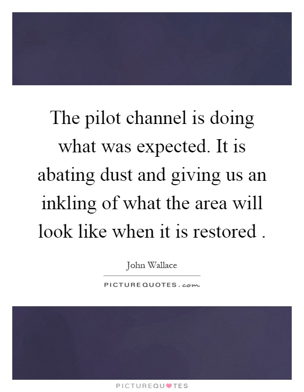 The pilot channel is doing what was expected. It is abating dust and giving us an inkling of what the area will look like when it is restored Picture Quote #1