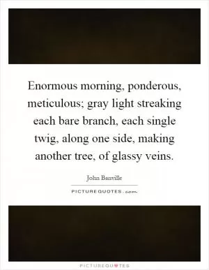 Enormous morning, ponderous, meticulous; gray light streaking each bare branch, each single twig, along one side, making another tree, of glassy veins Picture Quote #1