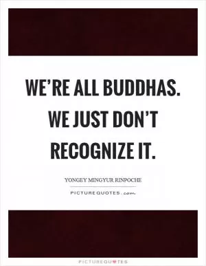 We’re all buddhas. We just don’t recognize it Picture Quote #1
