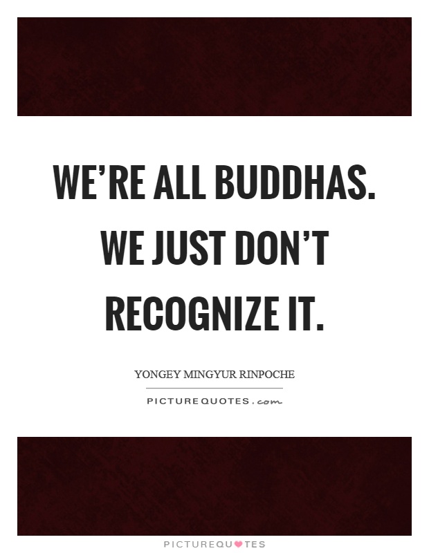 We're all buddhas. We just don't recognize it Picture Quote #1