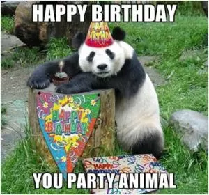 Happy birthday, you party animal Picture Quote #1