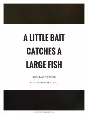 A little bait catches a large fish Picture Quote #1