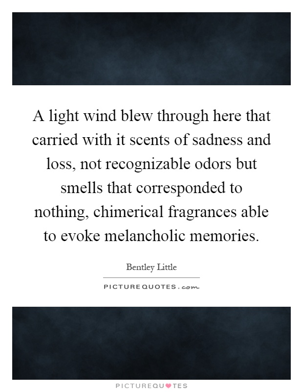 A light wind blew through here that carried with it scents of sadness and loss, not recognizable odors but smells that corresponded to nothing, chimerical fragrances able to evoke melancholic memories Picture Quote #1