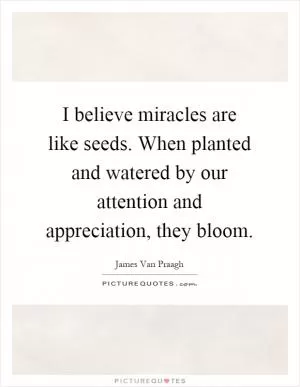 I believe miracles are like seeds. When planted and watered by our attention and appreciation, they bloom Picture Quote #1