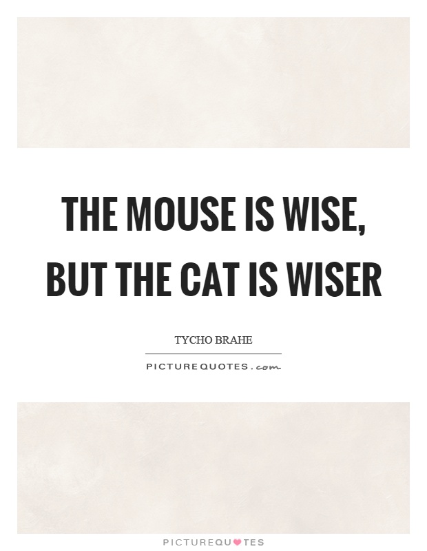 The mouse is wise, but the cat is wiser Picture Quote #1