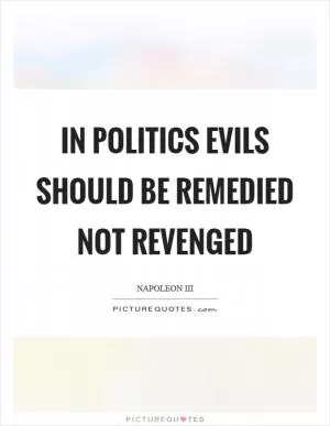 In politics evils should be remedied not revenged Picture Quote #1