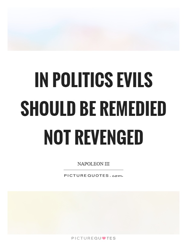 In politics evils should be remedied not revenged Picture Quote #1