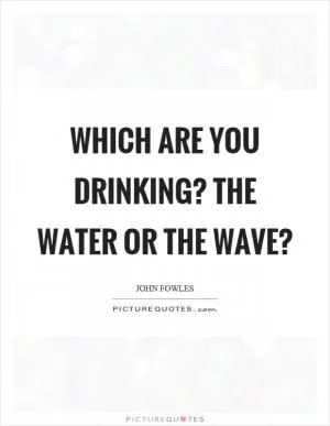 Which are you drinking? The water or the wave? Picture Quote #1