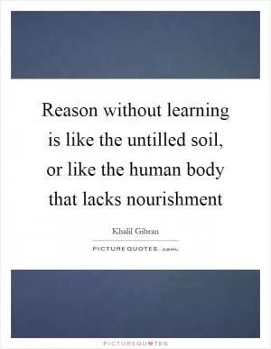 Reason without learning is like the untilled soil, or like the human body that lacks nourishment Picture Quote #1