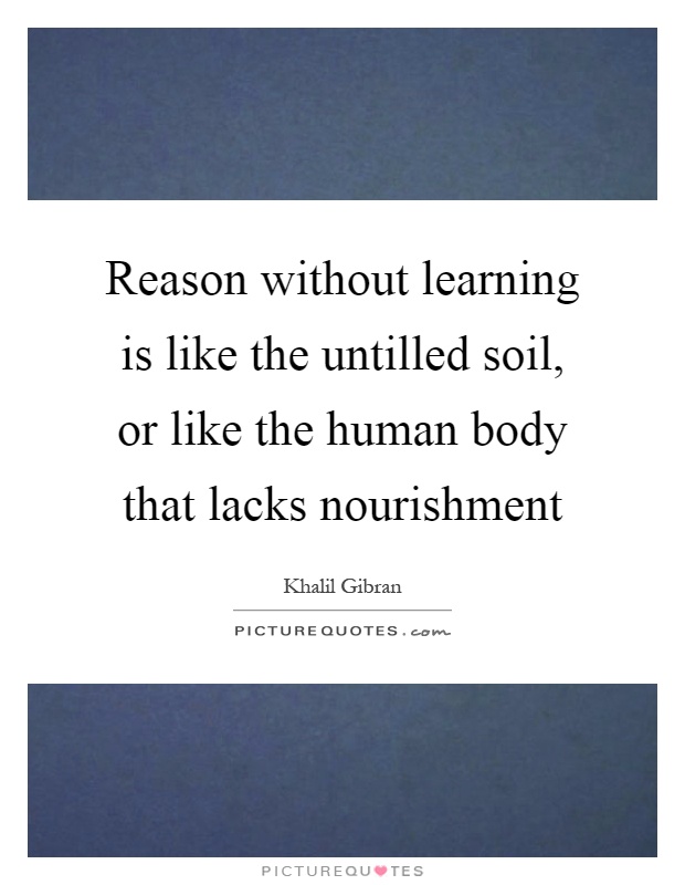 Reason without learning is like the untilled soil, or like the human body that lacks nourishment Picture Quote #1