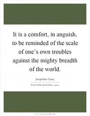 It is a comfort, in anguish, to be reminded of the scale of one’s own troubles against the mighty breadth of the world Picture Quote #1