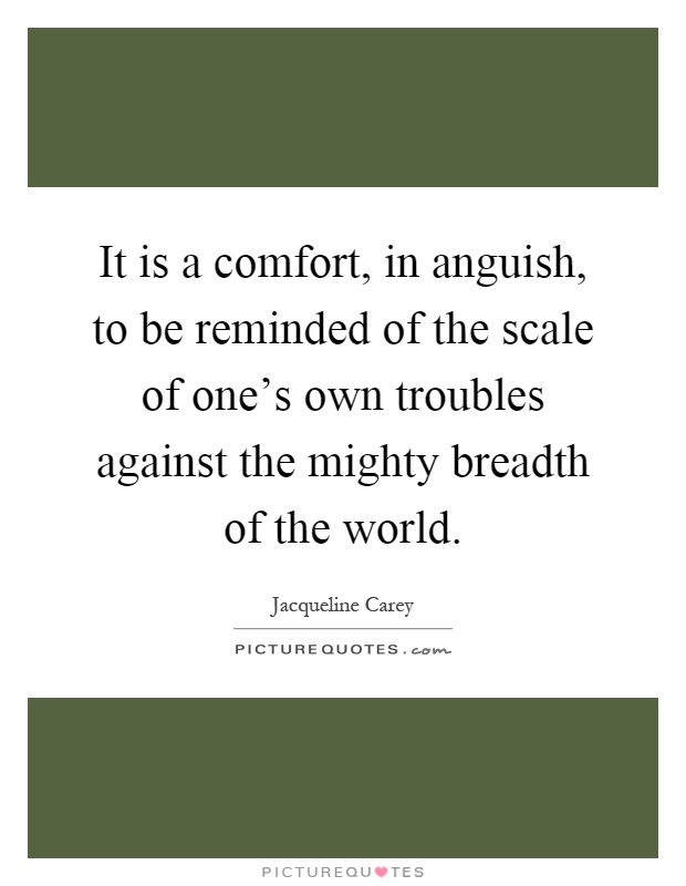 It is a comfort, in anguish, to be reminded of the scale of one's own troubles against the mighty breadth of the world Picture Quote #1