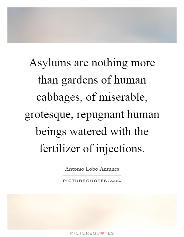 Asylums are nothing more than gardens of human cabbages, of miserable, grotesque, repugnant human beings watered with the fertilizer of injections Picture Quote #1
