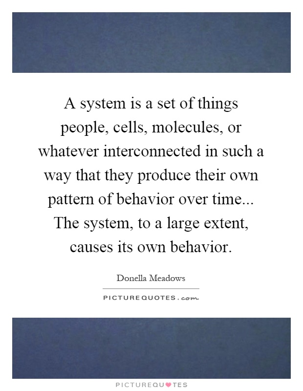 A system is a set of things people, cells, molecules, or whatever interconnected in such a way that they produce their own pattern of behavior over time... The system, to a large extent, causes its own behavior Picture Quote #1