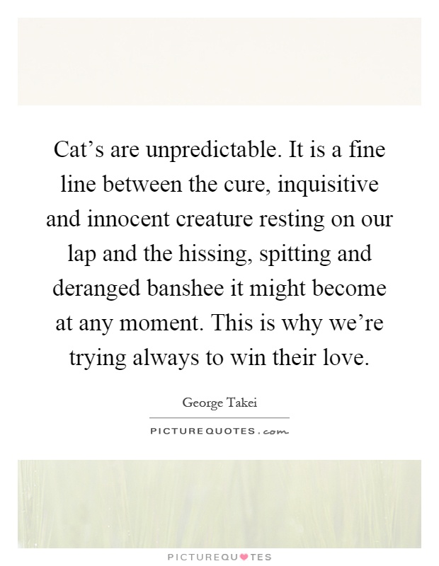 Cat's are unpredictable. It is a fine line between the cure, inquisitive and innocent creature resting on our lap and the hissing, spitting and deranged banshee it might become at any moment. This is why we're trying always to win their love Picture Quote #1