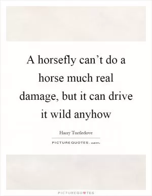 A horsefly can’t do a horse much real damage, but it can drive it wild anyhow Picture Quote #1