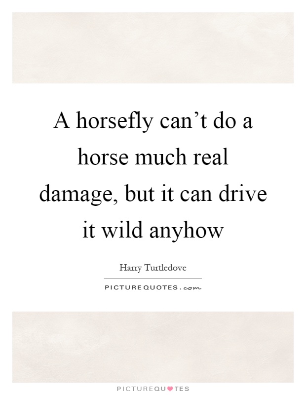 A horsefly can't do a horse much real damage, but it can drive it wild anyhow Picture Quote #1