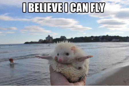 I believe I can fly Picture Quote #2