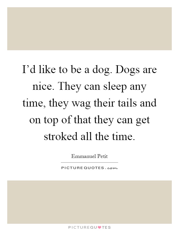 I'd like to be a dog. Dogs are nice. They can sleep any time, they wag their tails and on top of that they can get stroked all the time Picture Quote #1