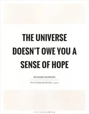 The universe doesn’t owe you a sense of hope Picture Quote #1