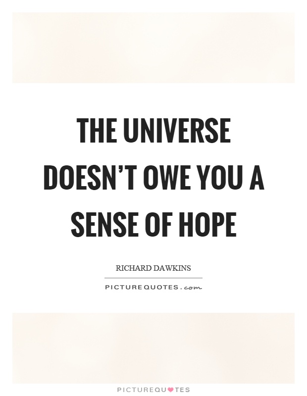 The universe doesn't owe you a sense of hope Picture Quote #1