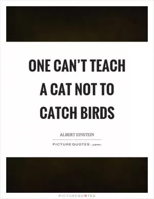 One can’t teach a cat not to catch birds Picture Quote #1
