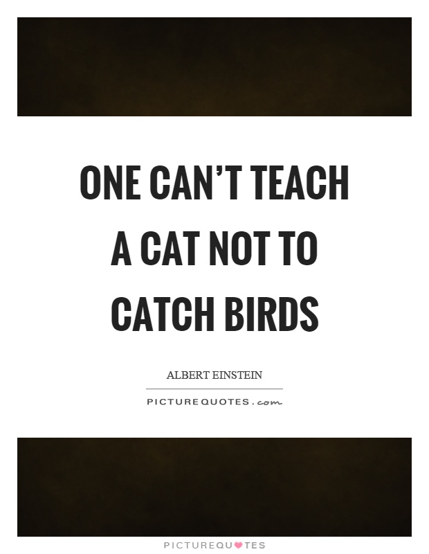 One can't teach a cat not to catch birds Picture Quote #1