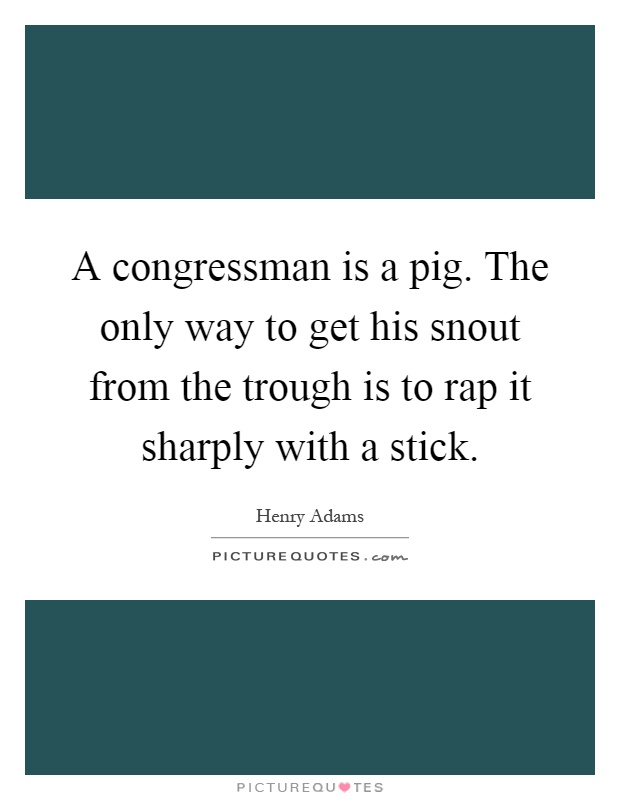 A congressman is a pig. The only way to get his snout from the trough is to rap it sharply with a stick Picture Quote #1