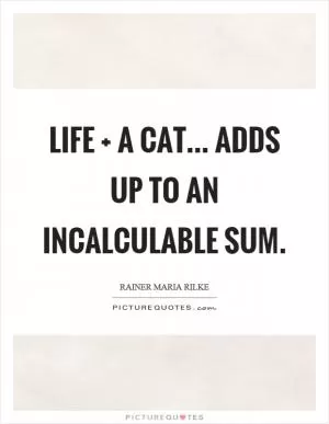 Life   a cat... adds up to an incalculable sum Picture Quote #1