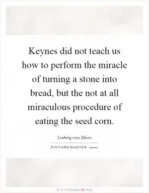 Keynes did not teach us how to perform the miracle of turning a stone into bread, but the not at all miraculous procedure of eating the seed corn Picture Quote #1