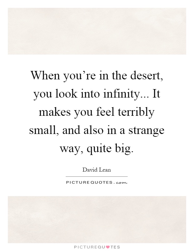 When you're in the desert, you look into infinity... It makes you feel terribly small, and also in a strange way, quite big Picture Quote #1