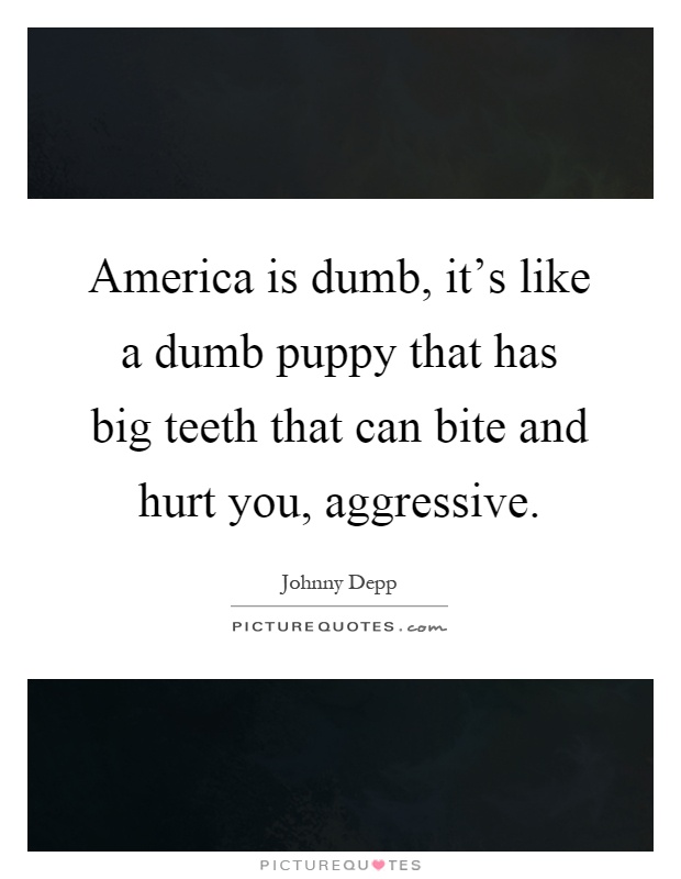 America is dumb, it's like a dumb puppy that has big teeth that can bite and hurt you, aggressive Picture Quote #1
