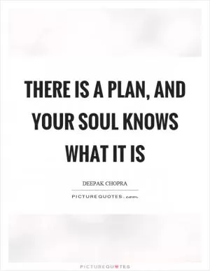 There is a plan, and your soul knows what it is Picture Quote #1
