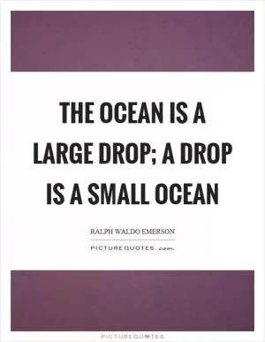 The ocean is a large drop; a drop is a small ocean Picture Quote #1