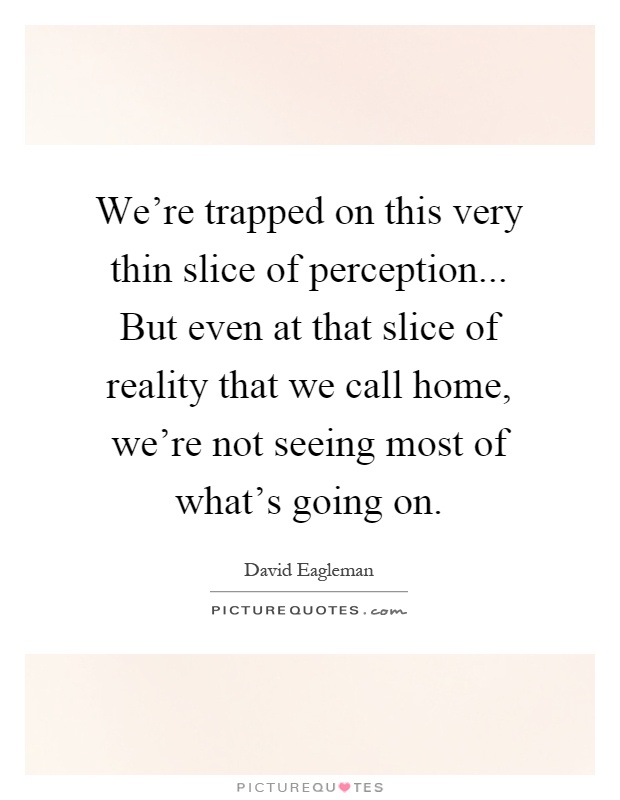 We're trapped on this very thin slice of perception... But even at that slice of reality that we call home, we're not seeing most of what's going on Picture Quote #1