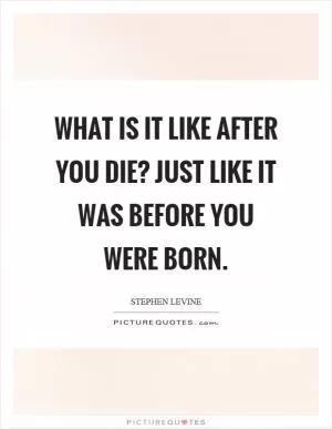 What is it like after you die? Just like it was before you were born Picture Quote #1