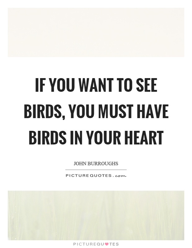 If you want to see birds, you must have birds in your heart Picture Quote #1